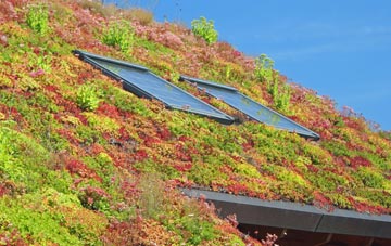 Netherland Green living roof systems